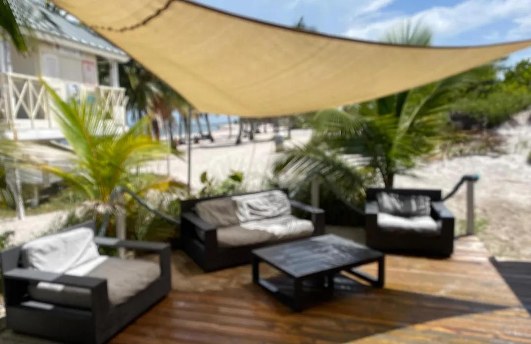 Tropical Oasis-1