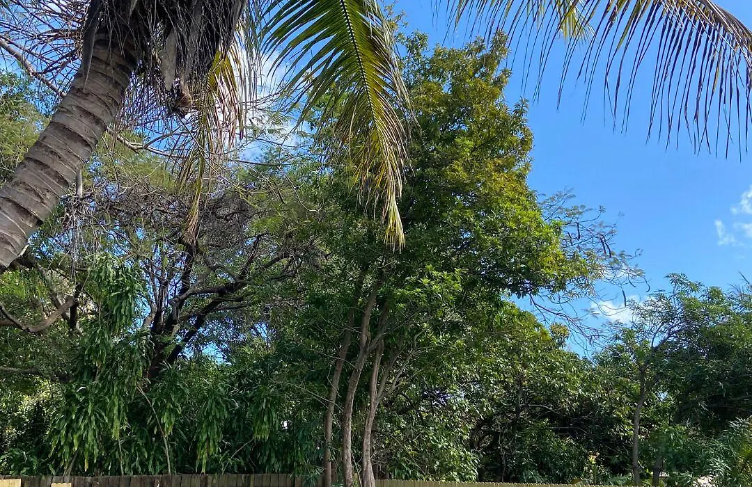 Eco-Shared Paradise-1
